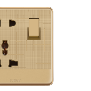 GG-10 Glory Gold Light Plug 10A Plate